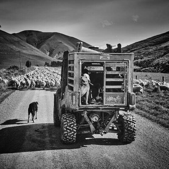 Rural